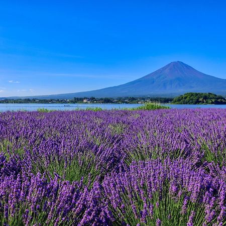 Hotel グランファーム富士河口湖 Granfarm Fujikawaguchiko Exterior foto